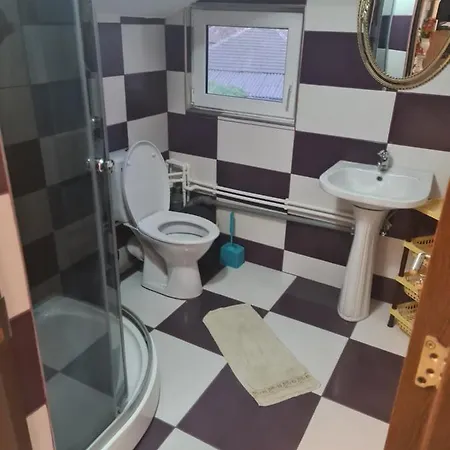 Casa Cu Camere De Inchiriat Plata La Cazare Pretul Este Pe O Camera
